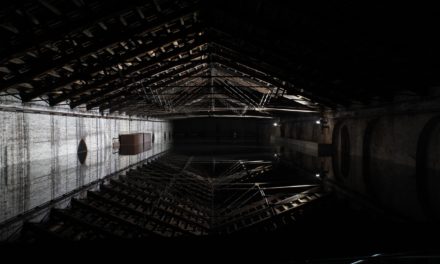 Biennale 2017. Giorgio Andreotta Calò